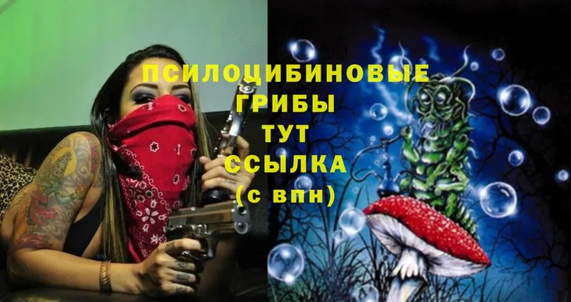 OMG вход  Печора  Галлюциногенные грибы Magic Shrooms 